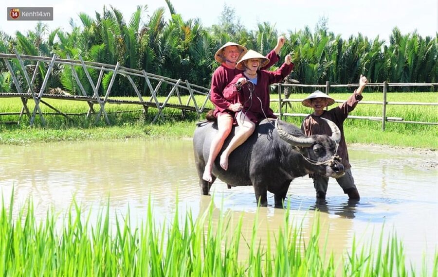 Ninh Binh Motorbike Tour - Guide Quality and the Human Side of the Tour