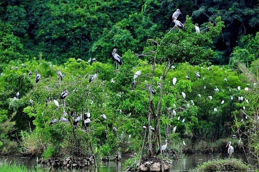 Ninh Binh Motorbike Tour - Riding Toward Thung Nham at 1:45 p.m.
