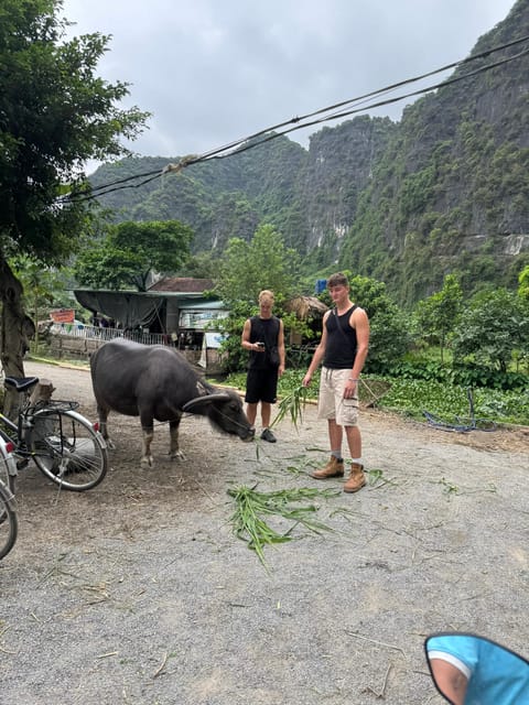 Ninh Binh Motorbike Tour - Who Will Enjoy This Day Most