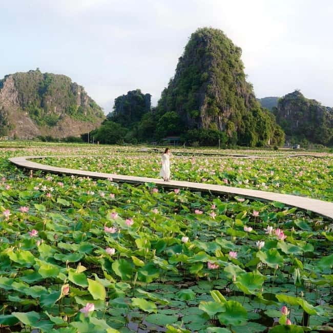 Ninh Binh Sunset Motorbike: Mua Cave, Coi Khe & Hoa Lu Town - Key points to know