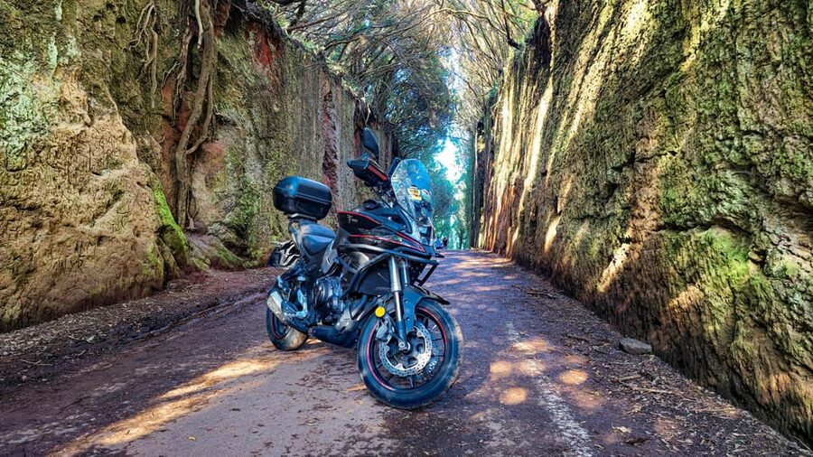 Puerto de la Cruz Motorbike tour through Teide National Park - Key points at a glance