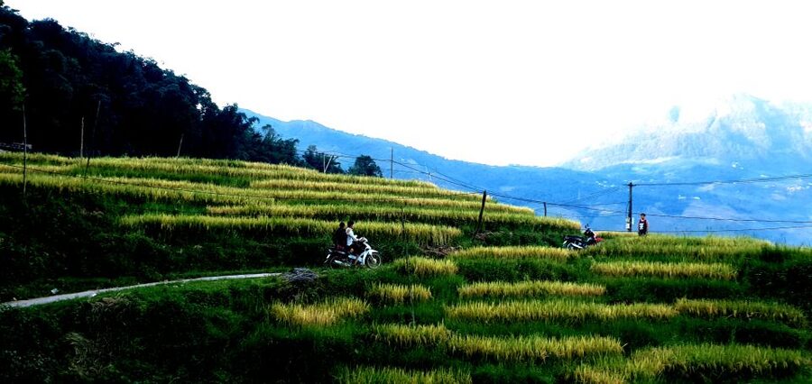Sa Pa: Guided Motorbike Tour to Ethnic Villages with Lunch - How the $65 price measures up