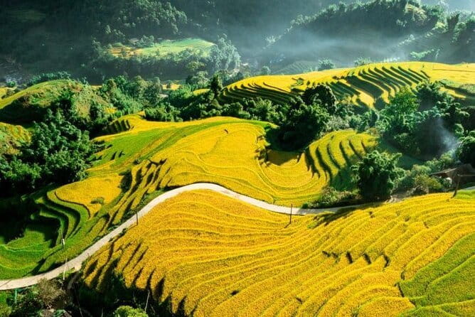 Sapa Adventure Motorbike Tour With Local Guide - Sin Chai and the rice terraces