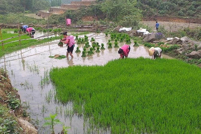 Sapa Adventure Motorbike Tour With Local Guide - Muong Hoa Valley and the stream stop