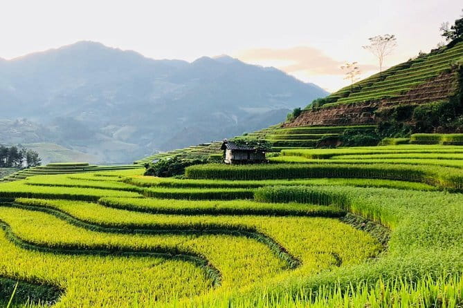 Sapa Adventure Motorbike Tour With Local Guide - Who should book this Sapa experience