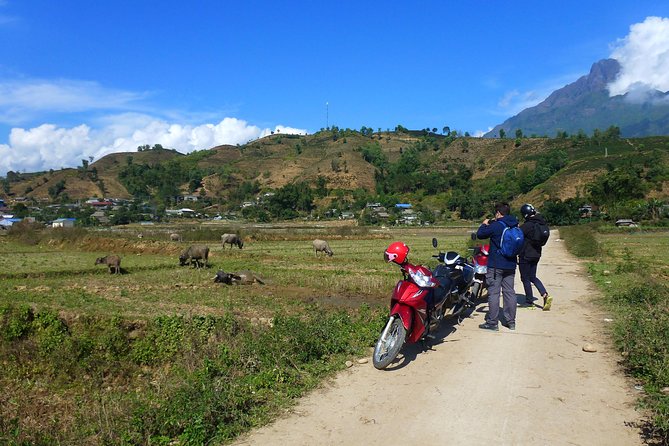 Sapa Full Day Motorbike Tour - Tan Uyen combines tea, lunch, and local life