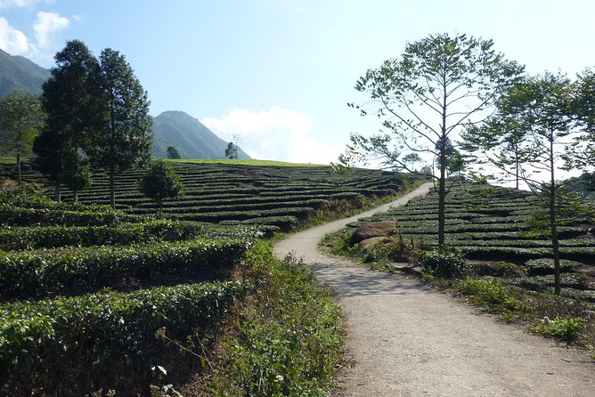 Sapa Full Day Motorbike Tour - What the tour does well