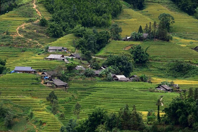 Sapa Half Day Private Car or Motorbike Customized Scenic Tour - O Quy Ho Pass and the high mountain views