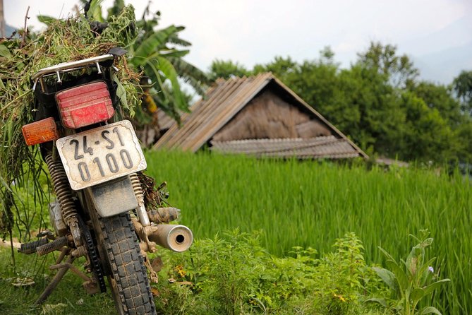 Sapa Motorbike Tour 1 Day| See All Of Rice Fields & Valleys in One Day - Starting in Sapa at 8:40 or 9:00