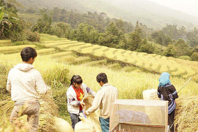 Sapa Motorbike Tour to Dragon Waterfall and Hidden Village - Sang Ma Sao, a highland commune