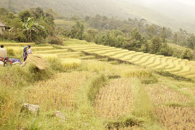 Sapa Motorbike Tour to Dragon Waterfall and Hidden Village - What the $65 price really covers