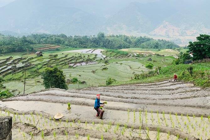 Sapa Motorbike Tour With Local Guide 1 Day - Waterfalls, Villages - Village life, local food, and a more personal Sapa