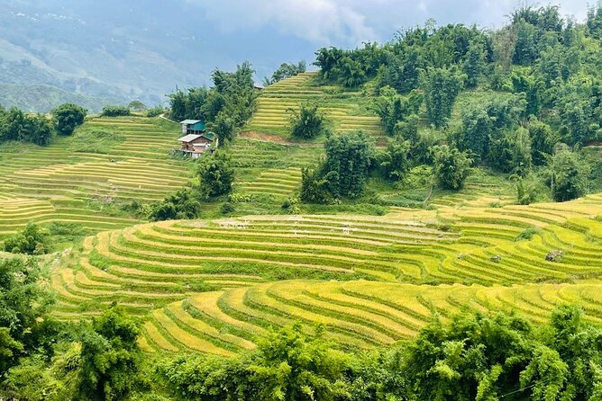 Sapa Motorbike Tour With Local Guide 1 Day - Waterfalls, Villages - Guides make or break this experience