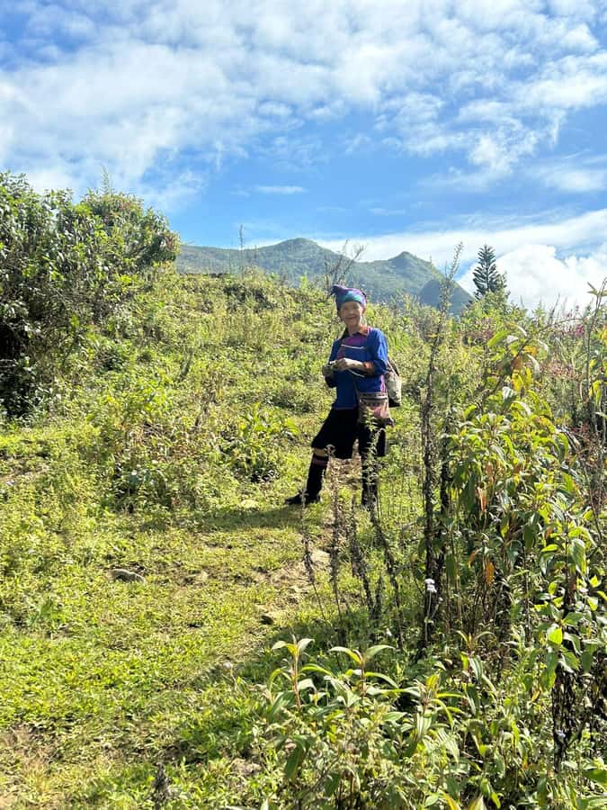 Sapa Scenic Motorbike Adventure With Local Guide - Y Linh Ho and the Muong Hoa Valley