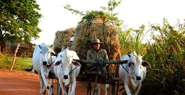 Siem Reap: 3-Hour Ancient Trails Motorbike Tour - What this three-hour ride is really about
