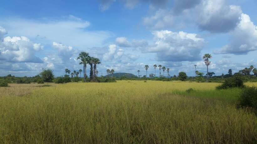 Siem Reap: 3-Hour Ancient Trails Motorbike Tour - Dirt tracks through villages and rice fields