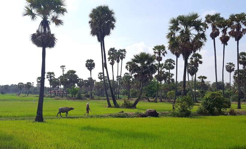 Siem Reap: 6-Hour Easy Rider Motorbike Tour - What makes this ride worth your time
