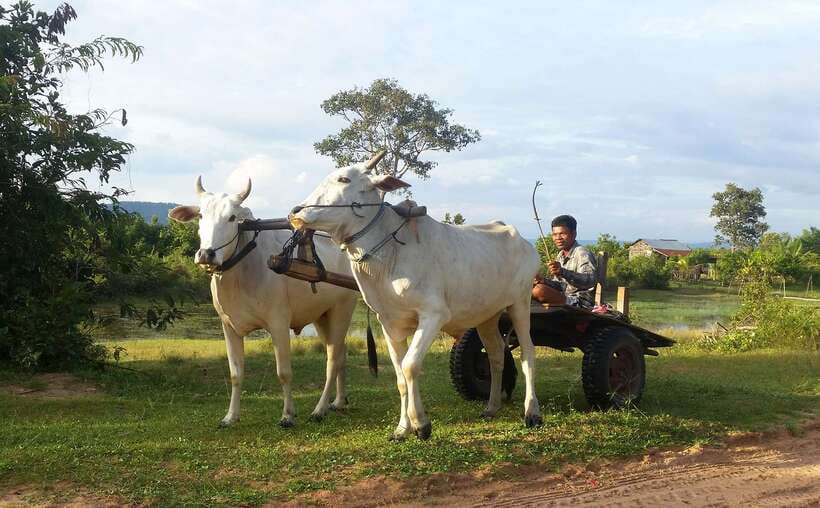 Siem Reap: 6-Hour Easy Rider Motorbike Tour - Lunch beside a lake with Kulen Mountain views