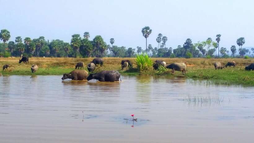 Siem Reap: 6-Hour Easy Rider Motorbike Tour - The return route and the real cost of six hours