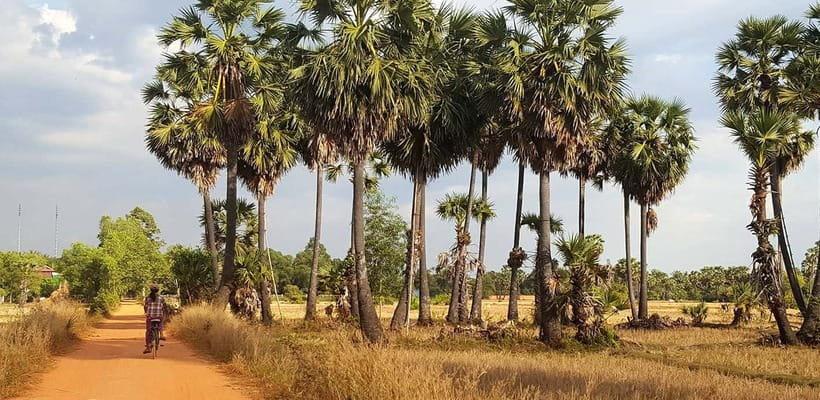 Siem Reap: 8-Hour Forgotten Treasures Motorbike Tour - Chau Srei Vibol and an unsolved question