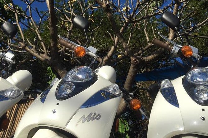 Single Passenger Moped/Scooter - 18+ NO Motorcycle License Needed - Why the moped changes the pace