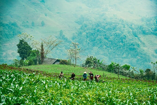 True North Ha Giang Loop Motorbike Tour 4 Days of Adventures - Why the Ha Giang Loop is worth four days