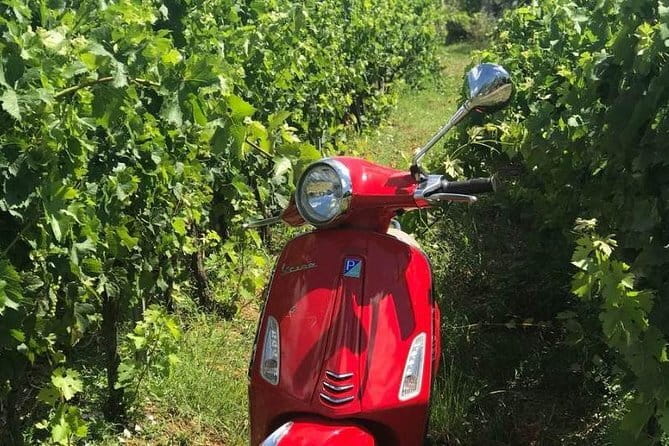 Vespa Motorcycle rental in Florence - Why a Vespa Makes Sense in Florence