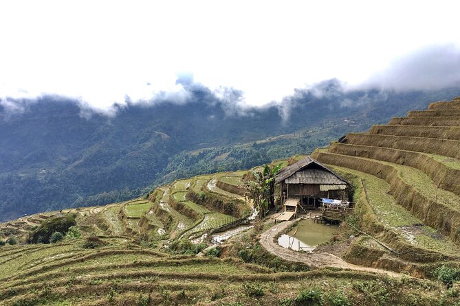 Vietnam Motorbike Tour To Sapa, Mu Cang Chai, Thac Ba-5 Days - Practical booking advice before you go
