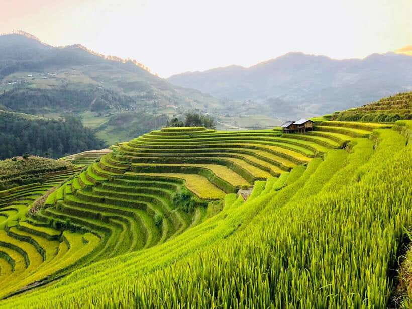 Visit Villages, Terrace Rice Field with Easy Riders half day - Leaving Sa Pa for the rice terraces