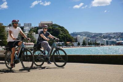 Wellington: Easy Rider Guided eBike Tour