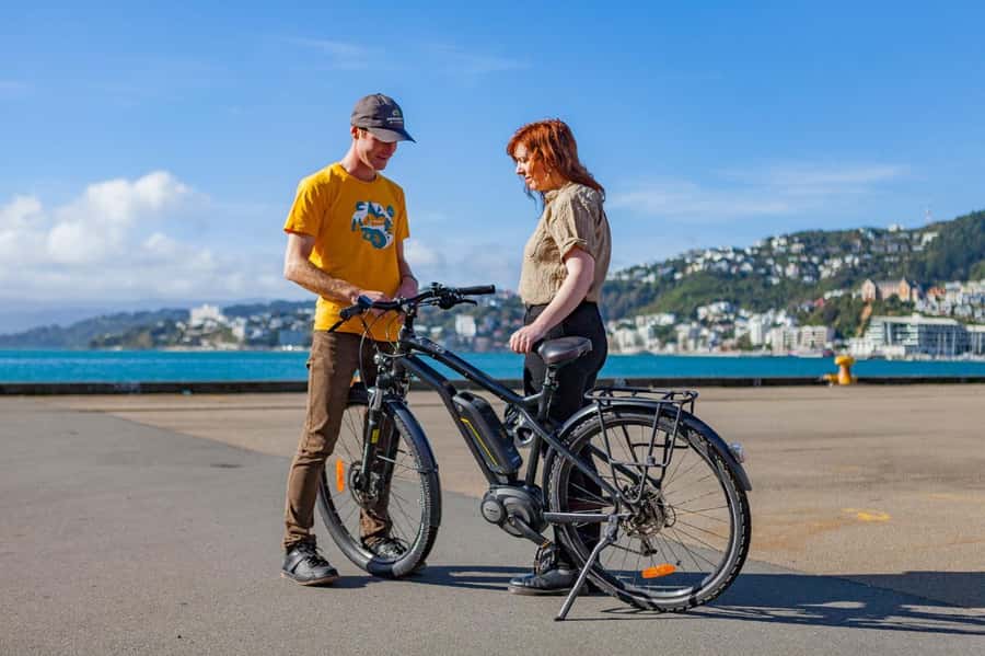 Wellington: Easy Rider Guided eBike Tour - Oriental Bay and the Seven Sisters