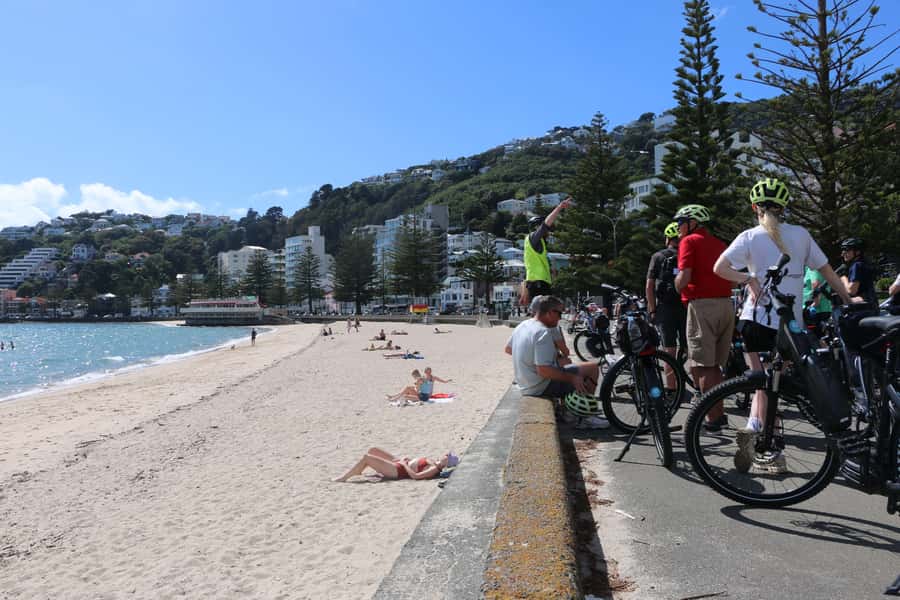 Wellington: Easy Rider Guided eBike Tour - Who will enjoy this Wellington ride